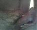eagle7162000's Profile Picture