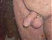 robert194811's Profile Picture