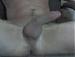 whassup_me69's Profile Picture