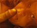 debraann's Profile Picture