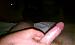 surfnsex69's Profile Picture