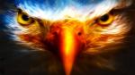 john_jenn26's Profile Picture