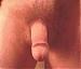 flaman469's Profile Picture