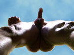 wolfman6's Profile Picture