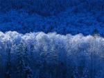 wooden_kayak's Profile Picture