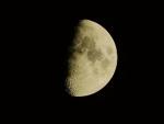 halfmoon's Profile Picture
