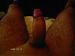 fox1085's Profile Picture