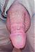 GuyN20109's Profile Picture