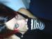 BlackGlitter's Profile Picture