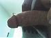 azpleaser2's Profile Picture