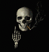 Zkish's Profile Picture
