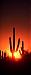 Valley Of The Sun's Profile Picture