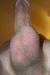 mwm51curious's Profile Picture