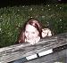 kattyeyes's Profile Picture