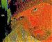 Charmer_x's Profile Picture