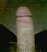 e_wa_guy's Profile Picture
