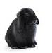 blackbunny's Profile Picture