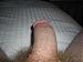 wildman01448's Profile Picture