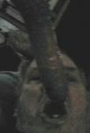 rickys1st's Profile Picture