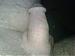 steelworkingman's Profile Picture